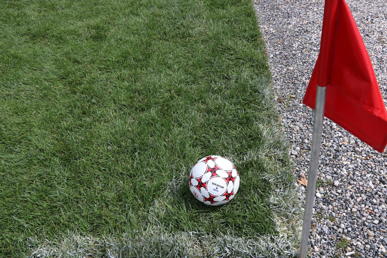 Defensive midfield roles